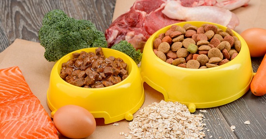 Principios para preparar una comida nutritiva para tu perro