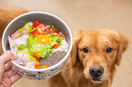 Ventajas de la dieta Dogfydiet